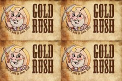 Gold Rush Game Cards